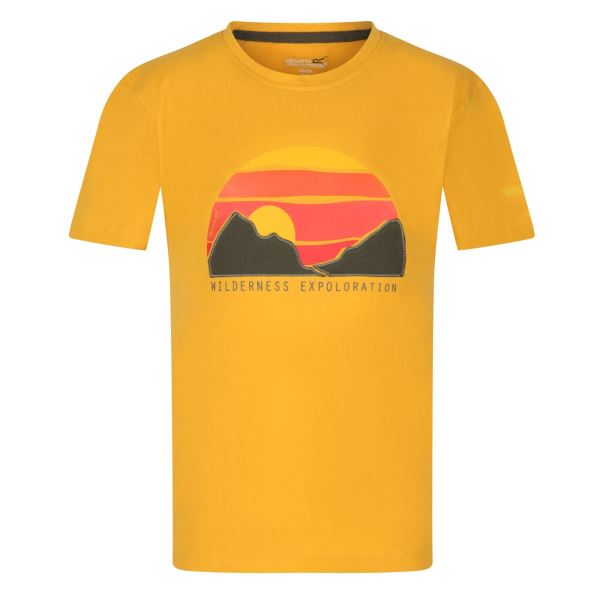 Dětské tričko Regatta BOSLEY III žlutá